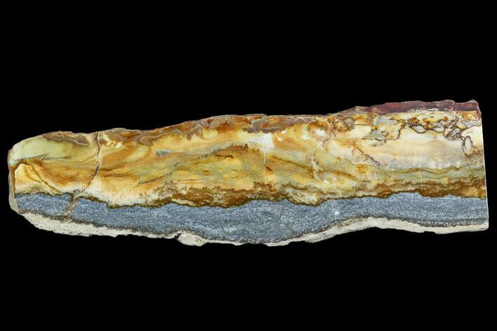 Polished Golden Picture Jasper Slab - Nevada #129720